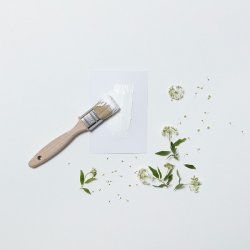 Farveprver  Vg og Loftmaling - rlik