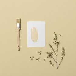 Farveprver  Vg og Loftmaling - rlik