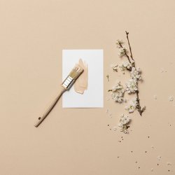 Farveprver  Vg og Loftmaling - rlik