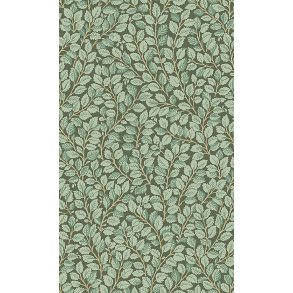 Hazel grn - Lv tapet