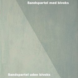 Indfarvet Sandspartel