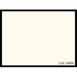 Vg- og loft maling (Ekstra)