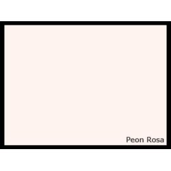 Vg- og loft maling (Ekstra)